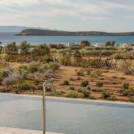 Golden View Paros, Citron